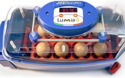 Borotto Lumia 8 broedmachine met automatisch keersysteem