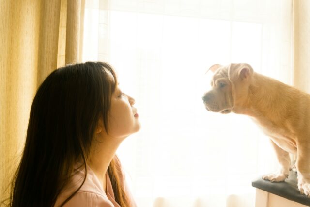Vrouw zit tegenover een kleine hond bij een raam met warm tegenlicht